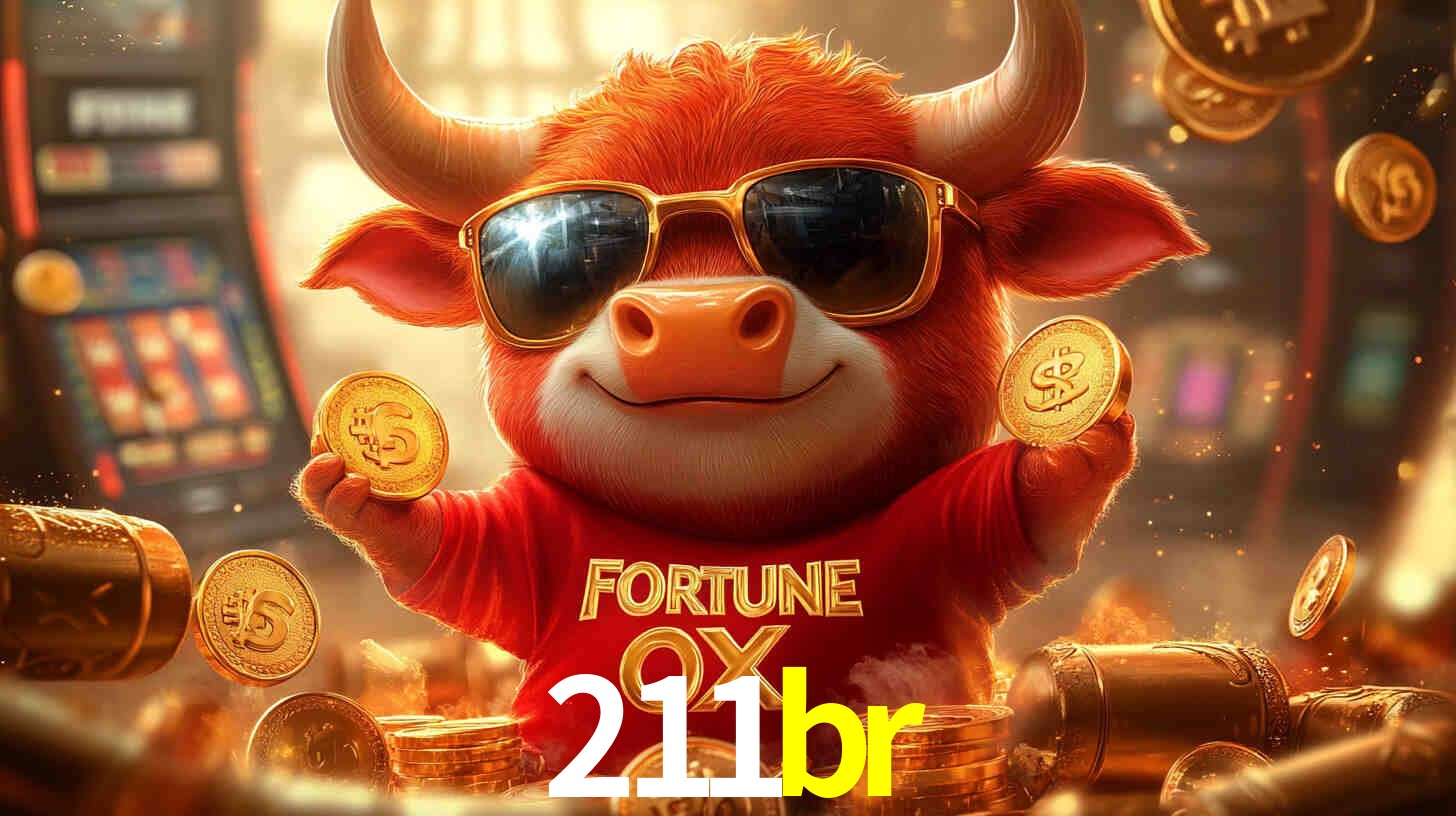 211br.com